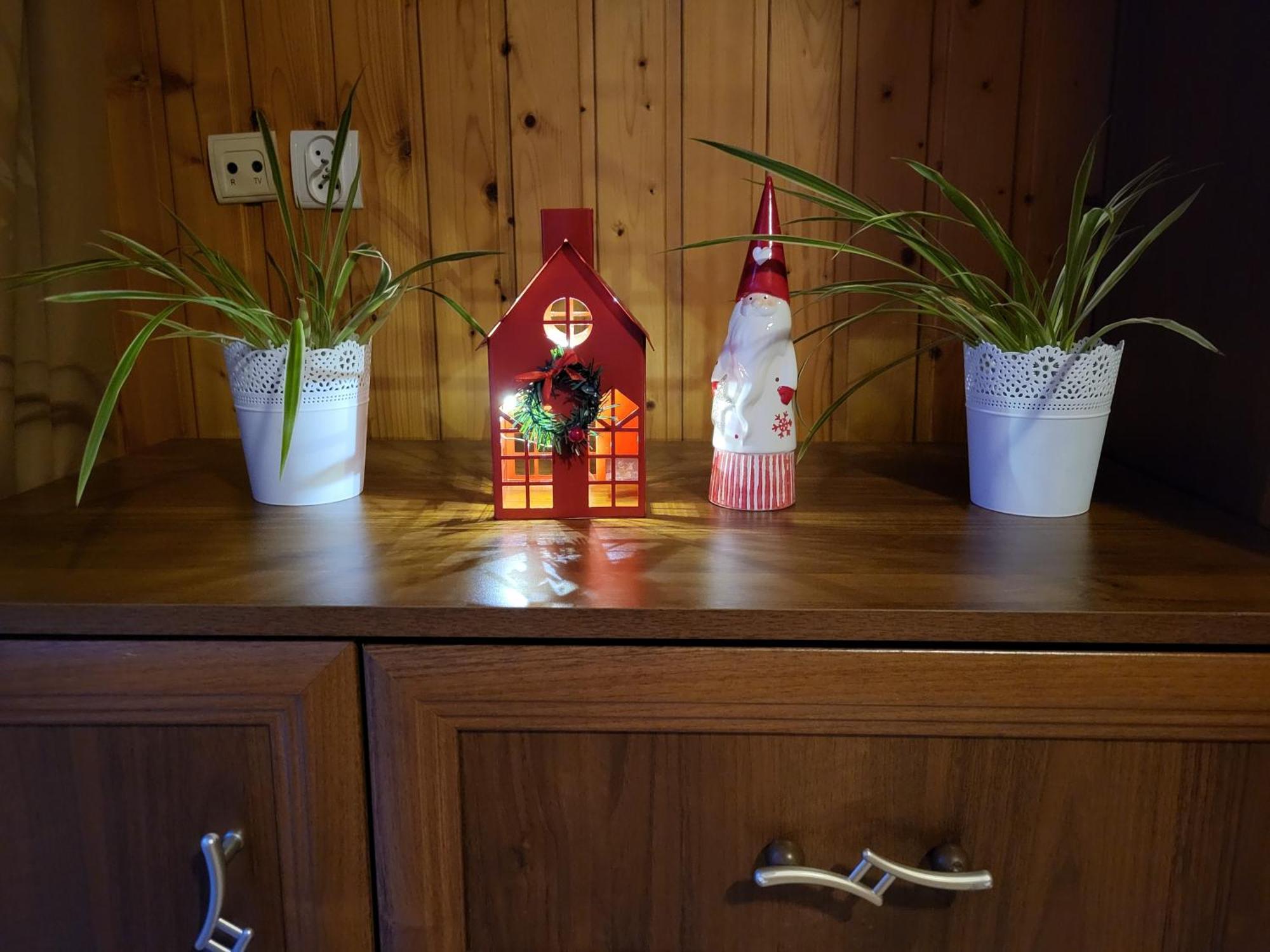 Apartament Harenda 2 자코파네 외부 사진